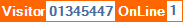 Longer Web Counter 2018/10