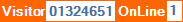 Longer Web Counter 2018/10