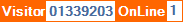 Longer Web Counter 2018/10